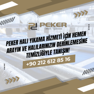 Esenler Halı Yıkama